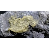 Auripigment